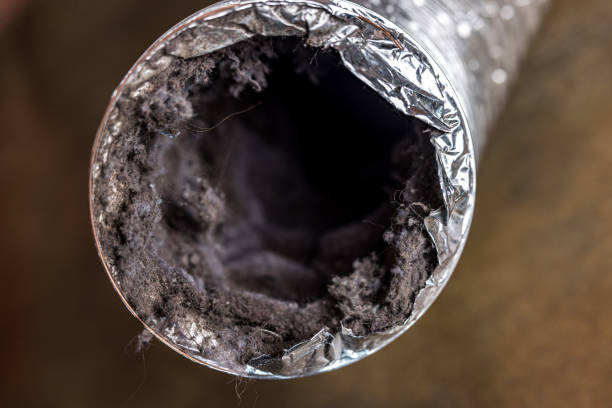 Best Emergency Air Duct Cleaning  in Bull Mountain, OR