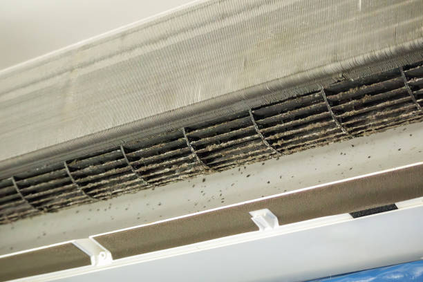 Best HVAC Duct Inspection Services  in Bull Mountain, OR